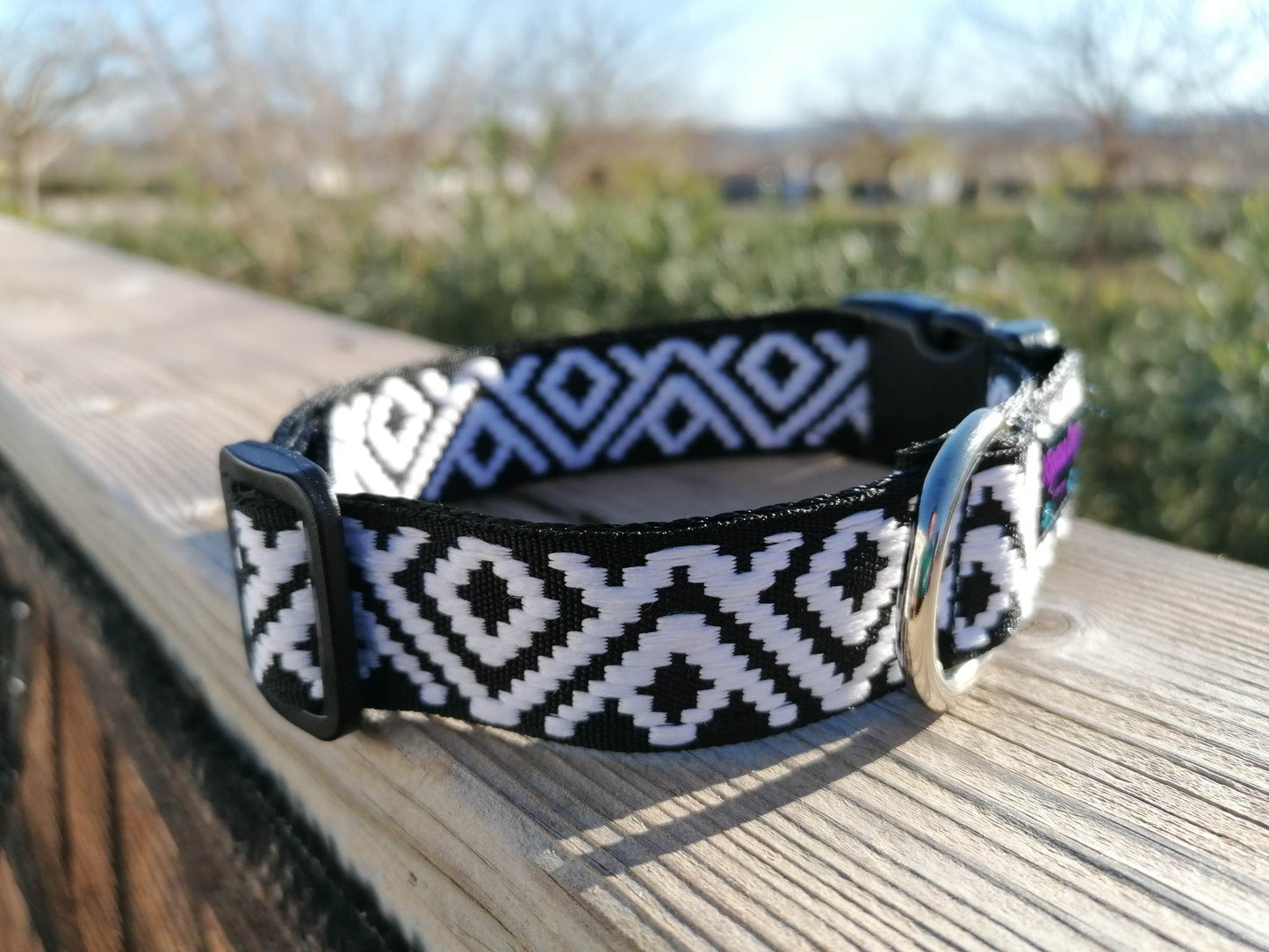 Hundehalsband 2.5cm "Charlie"