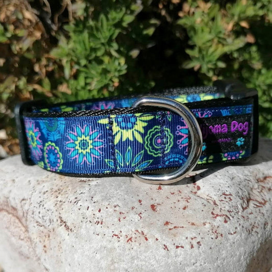 Hundehalsband 2.5cm "Aika"