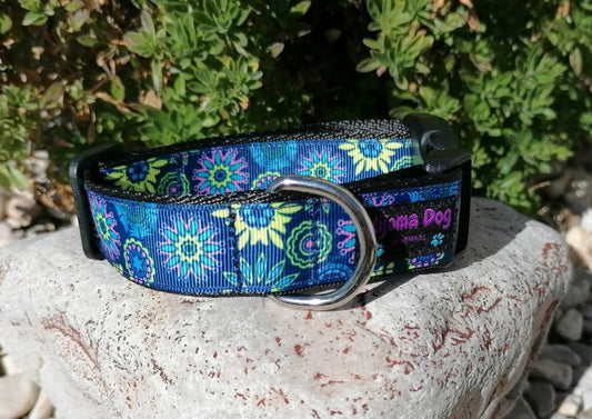 Hundehalsband 2.5cm "Aika"