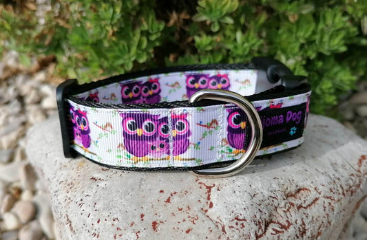 Hundehalsband 2.5cm "Lola"