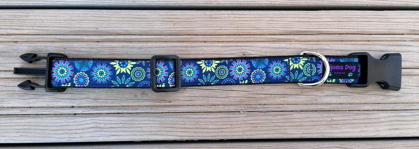 Hundehalsband 2.5cm "Aika"