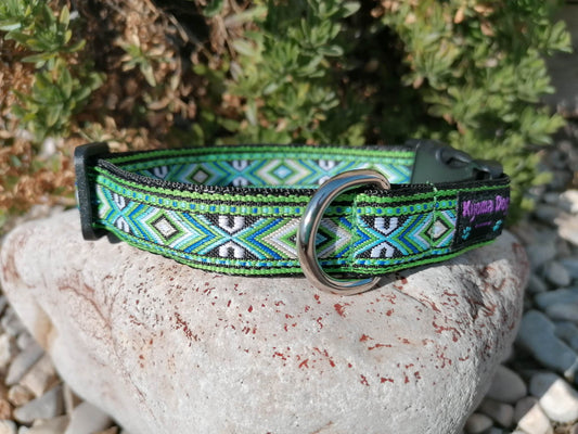 Hundehalsband 2cm "Kiwi"
