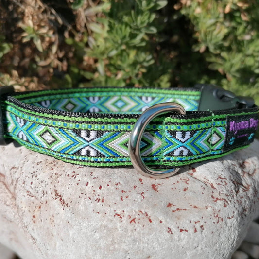 Hundehalsband 2cm "Kiwi"