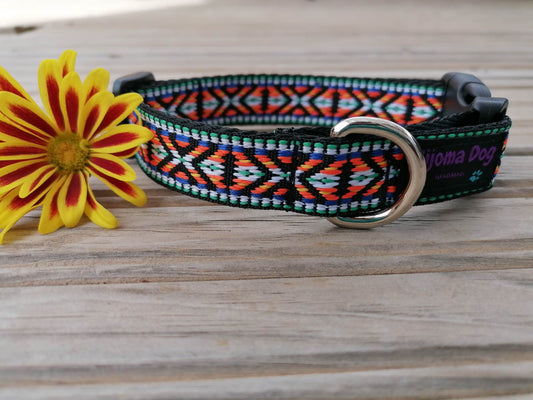 Hundehalsband 2cm "Lenny"