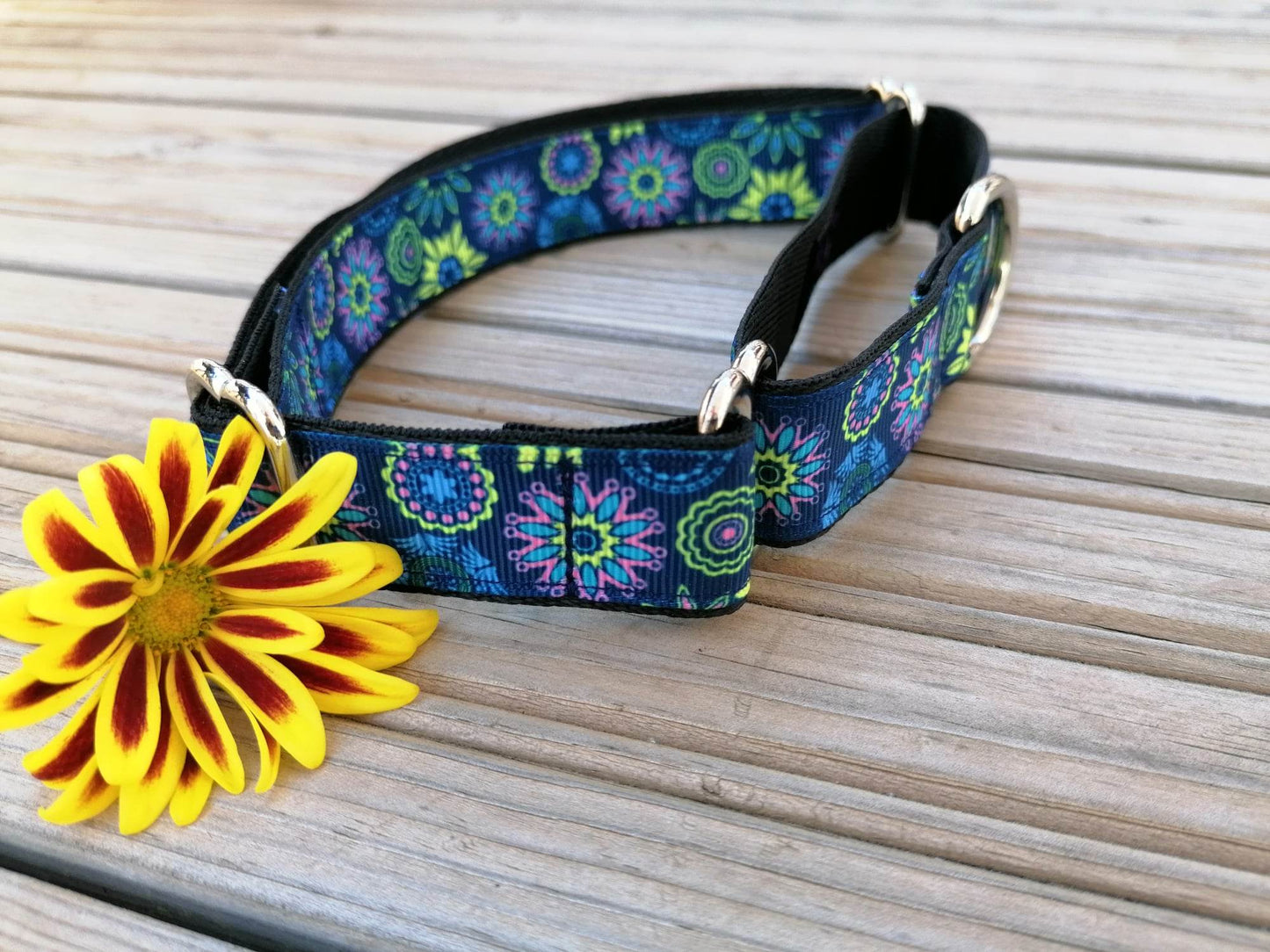 Hundehalsband Martingale 2.5cm "Aika"
