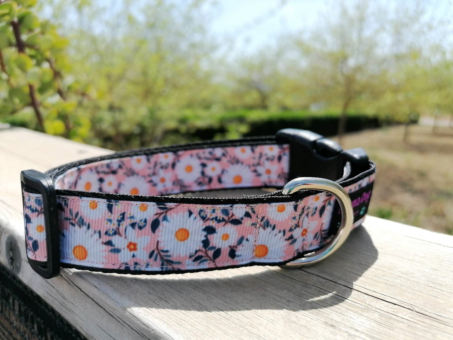 Hundehalsband 2.5cm "Maja"