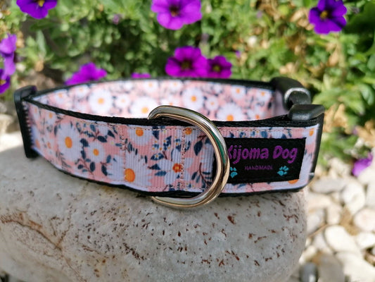 Hundehalsband 2.5cm "Maja"
