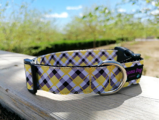 Hundehalsband 2.5cm "Sunny"