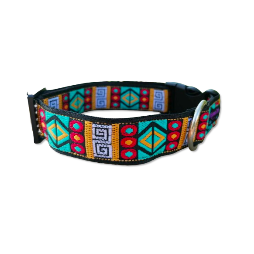 Hundehalsband 3.2cm "Ayo"