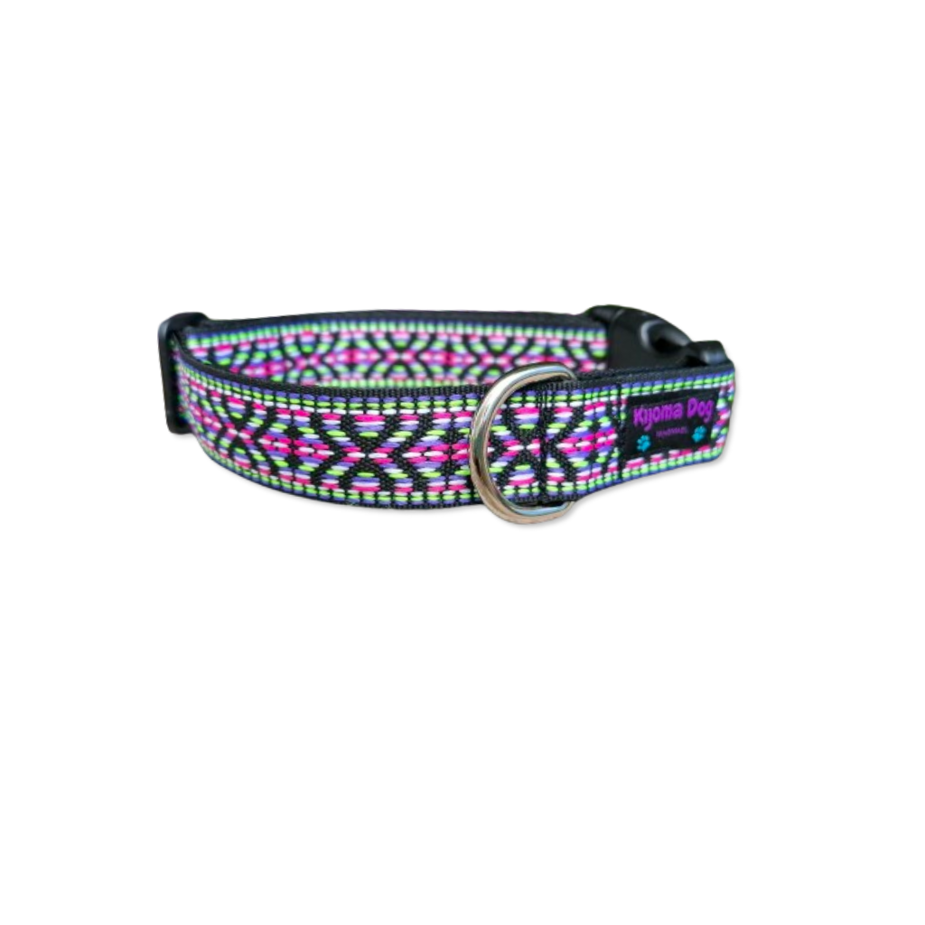 Hundehalsband 2.5cm "Gizmo"