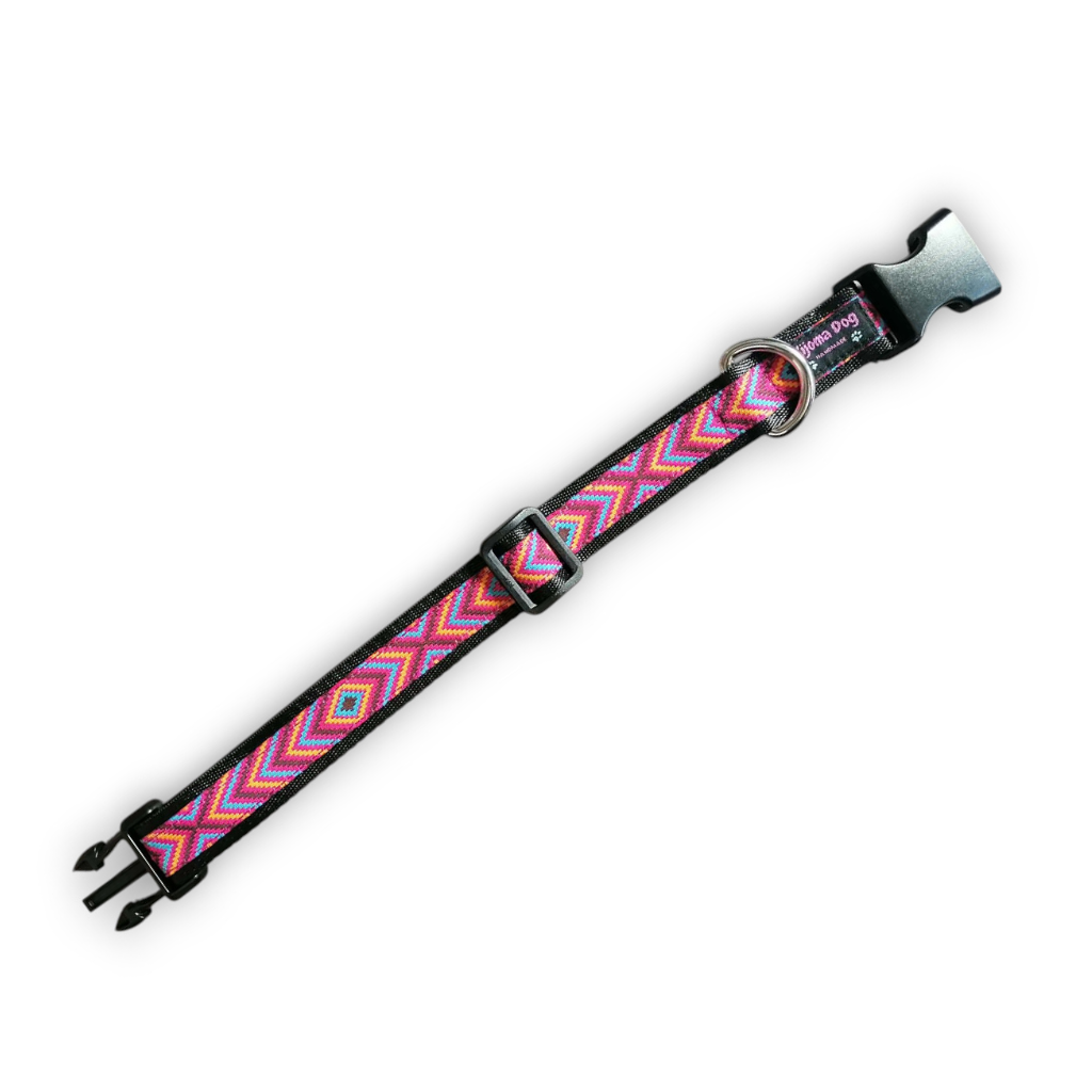 Hundehalsband 2.5cm "Indra"