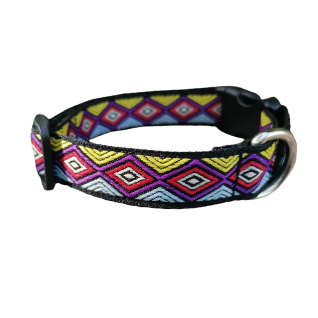 Hundehalsband 2cm "Janeiro"