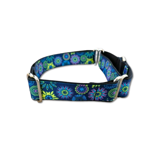 Hundehalsband Martingale 2.5cm "Aika"