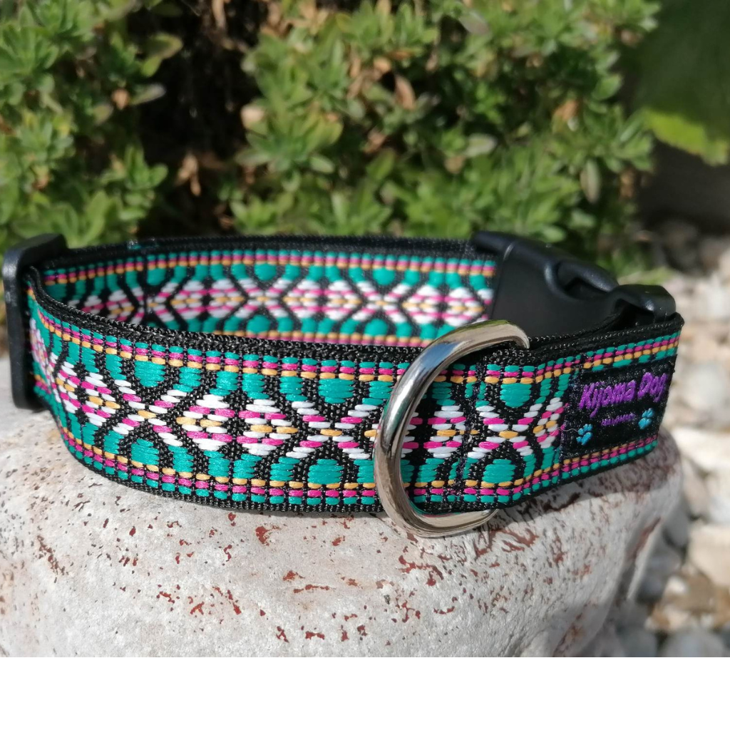 Hundehalsband 2.5cm "Amar"