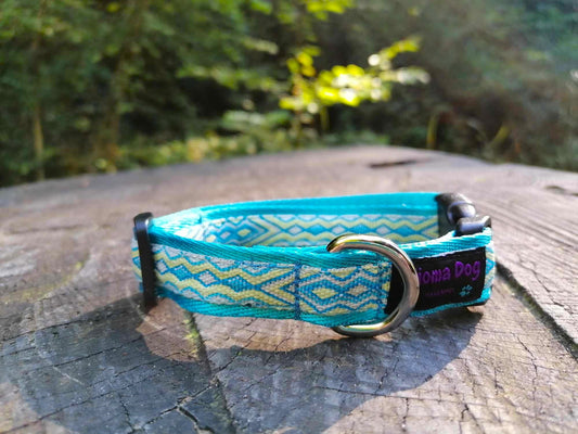 Hundehalsband 2cm "Aslan"