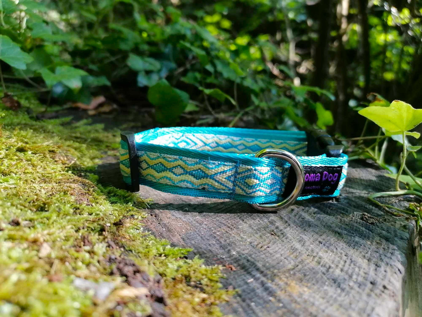 Hundehalsband 2cm "Aslan"