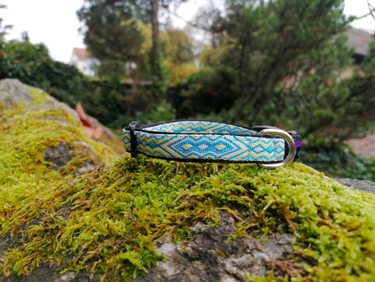 Hundehalsband 1,5cm "Aslan"