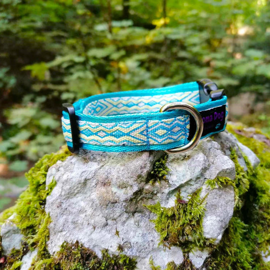 Hundehalsband 2cm "Aslan blue"