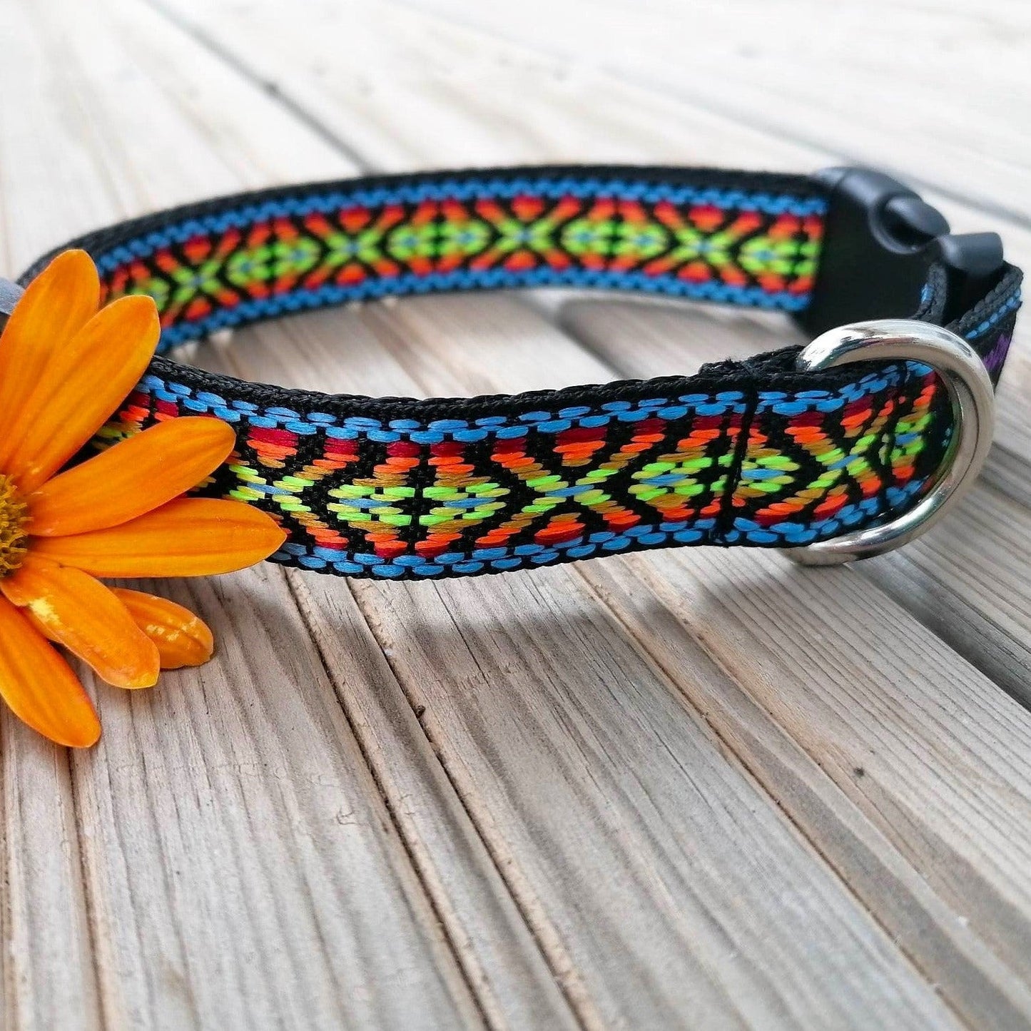 Hundehalsband 2cm "Awan"