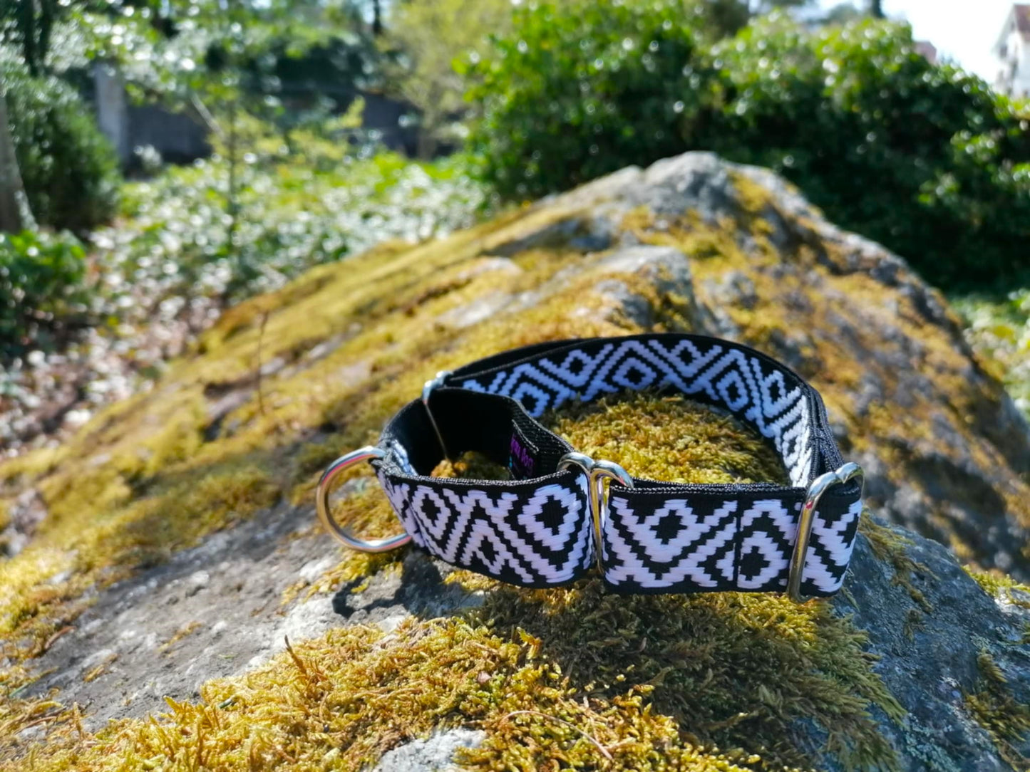 Hundehalsband Martingale 2.5cm "Charlie"