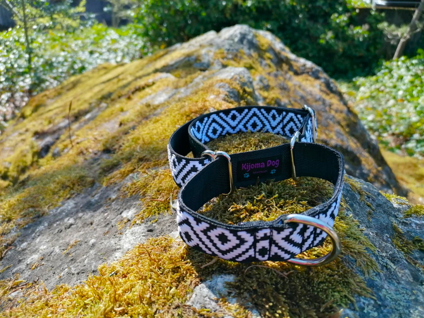 Hundehalsband Martingale 2.5cm "Charlie"