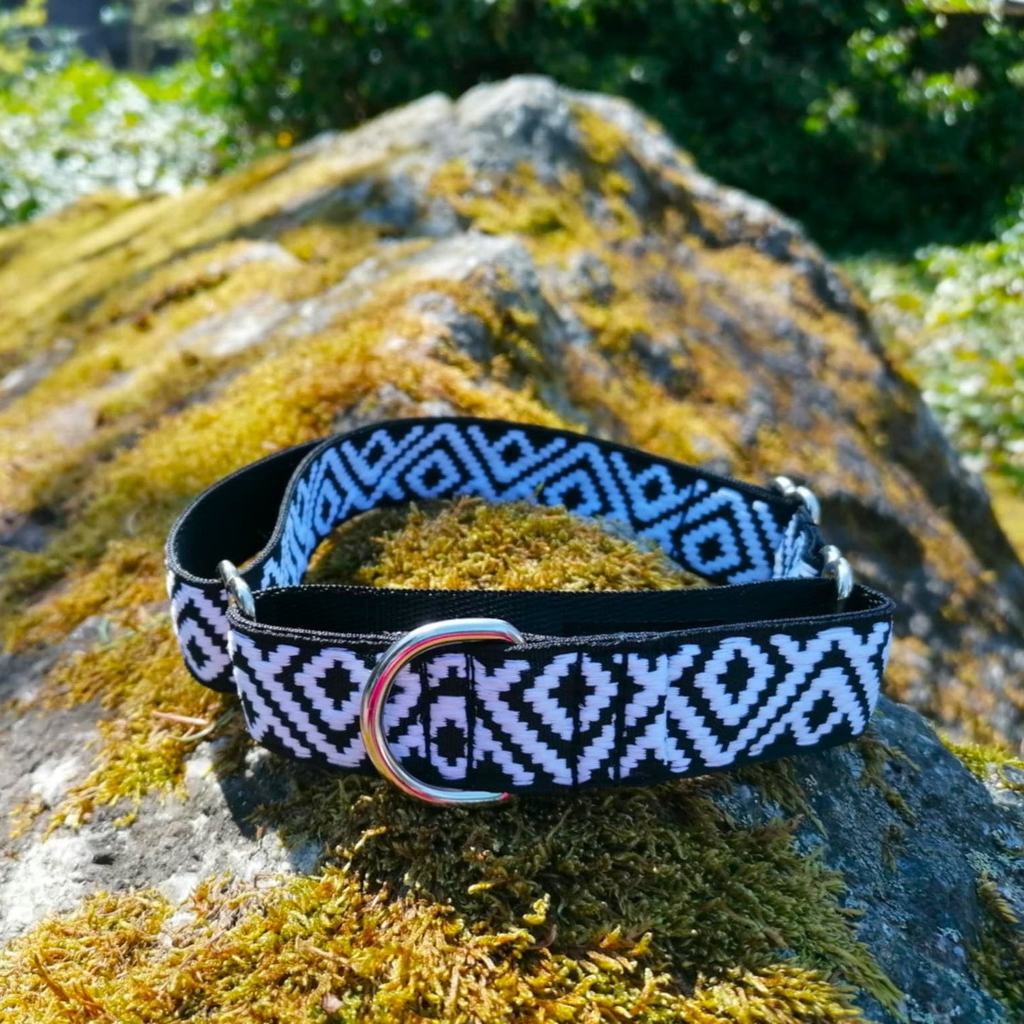 Hundehalsband Martingale 2.5cm "Charlie"