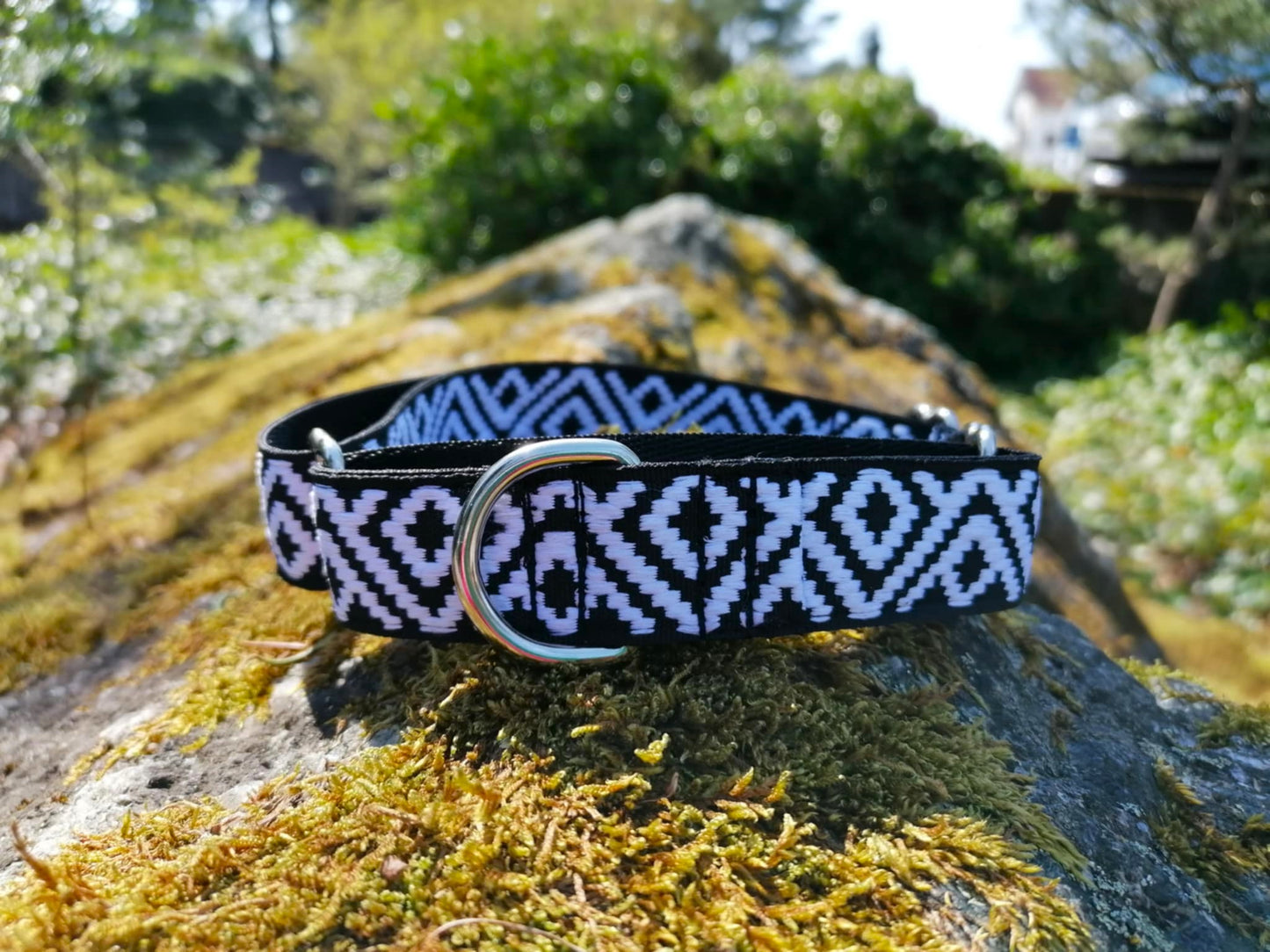 Hundehalsband Martingale 2.5cm "Charlie"