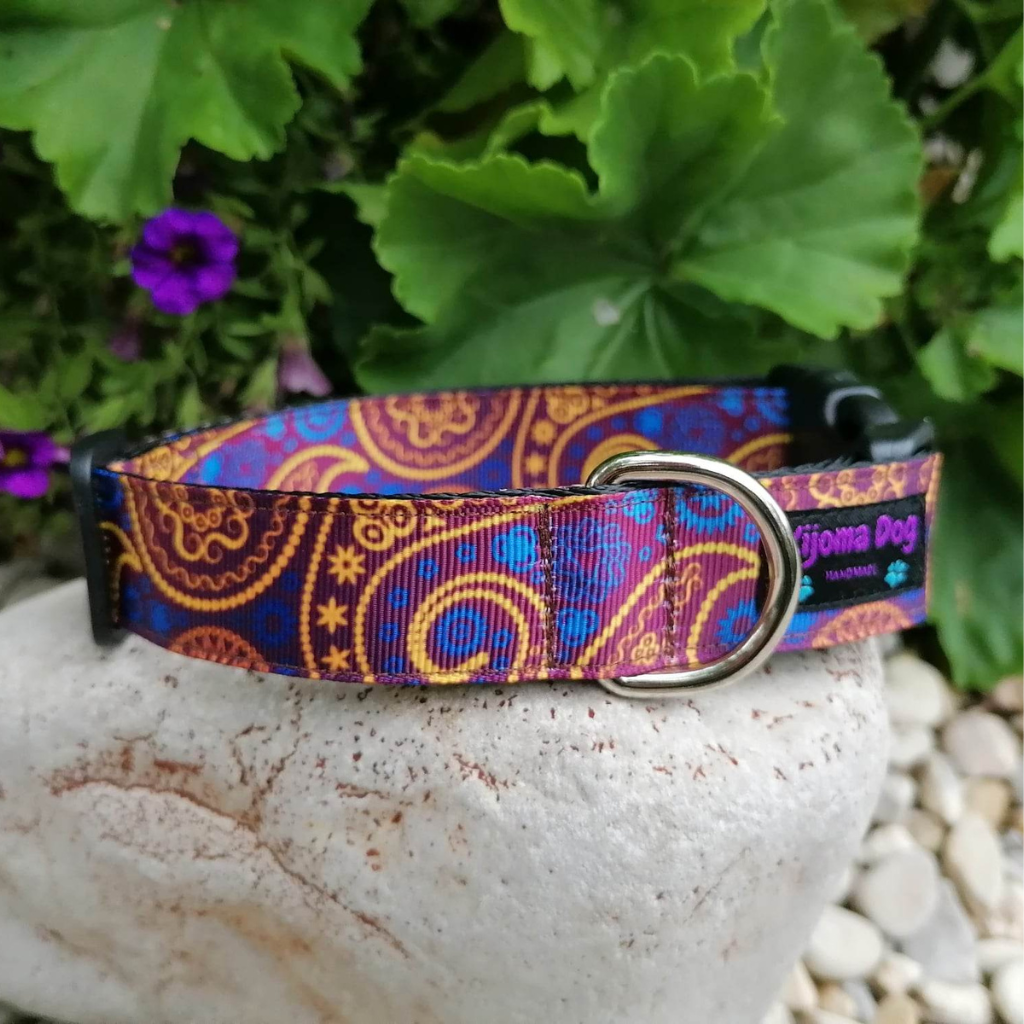 Hundehalsband 2.5cm "Coco"