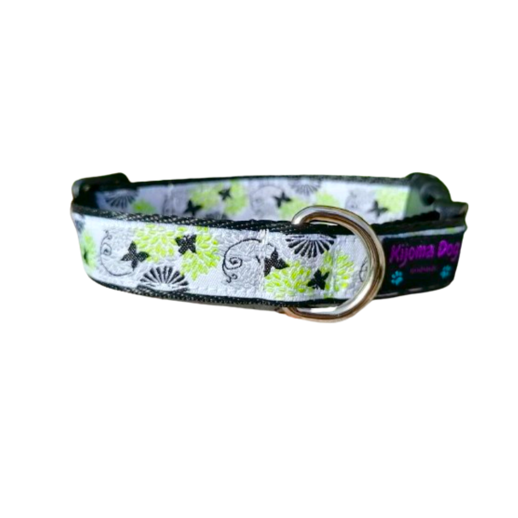 Hundehalsband 2cm "Dina"