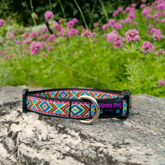 Hundehalsband 2cm "Django"