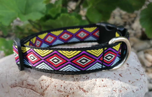 Hundehalsband 2cm "Janeiro"