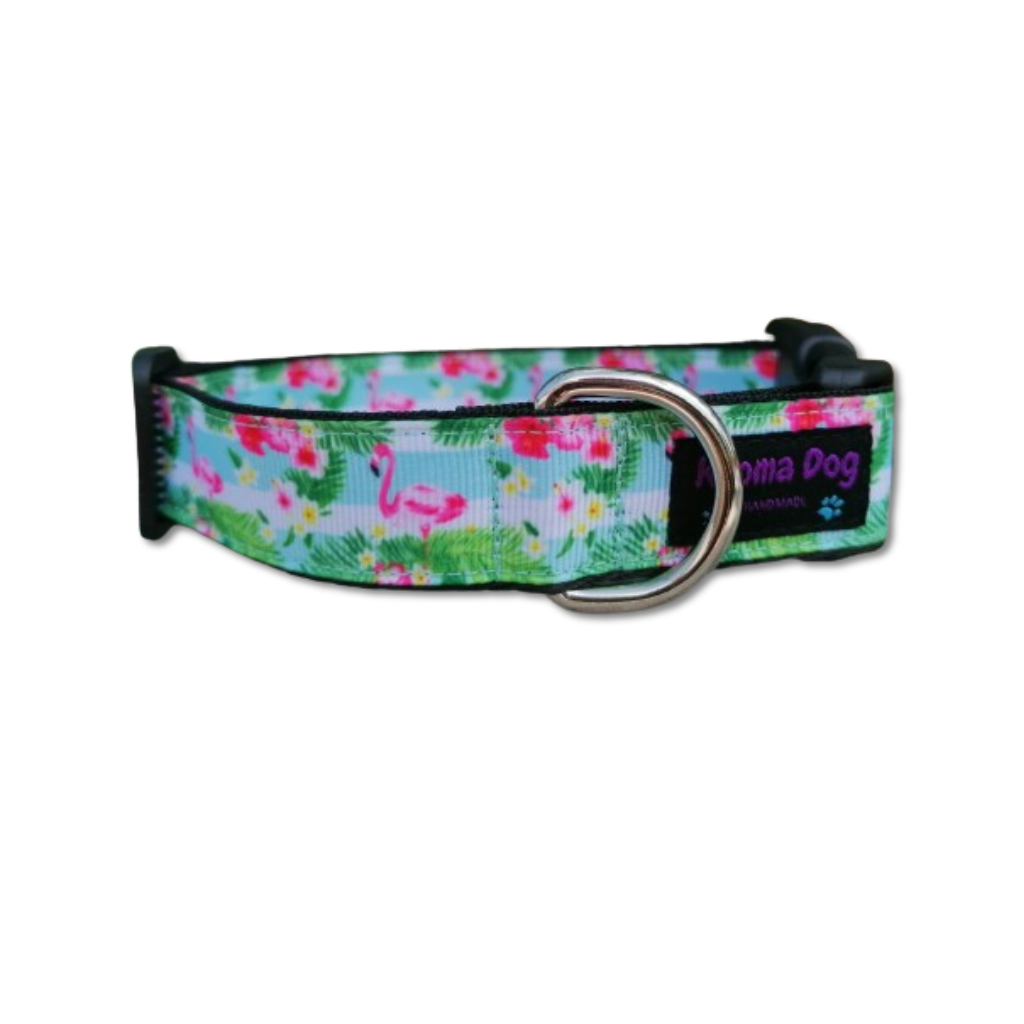 Hundehalsband 2.5cm "Jolin"