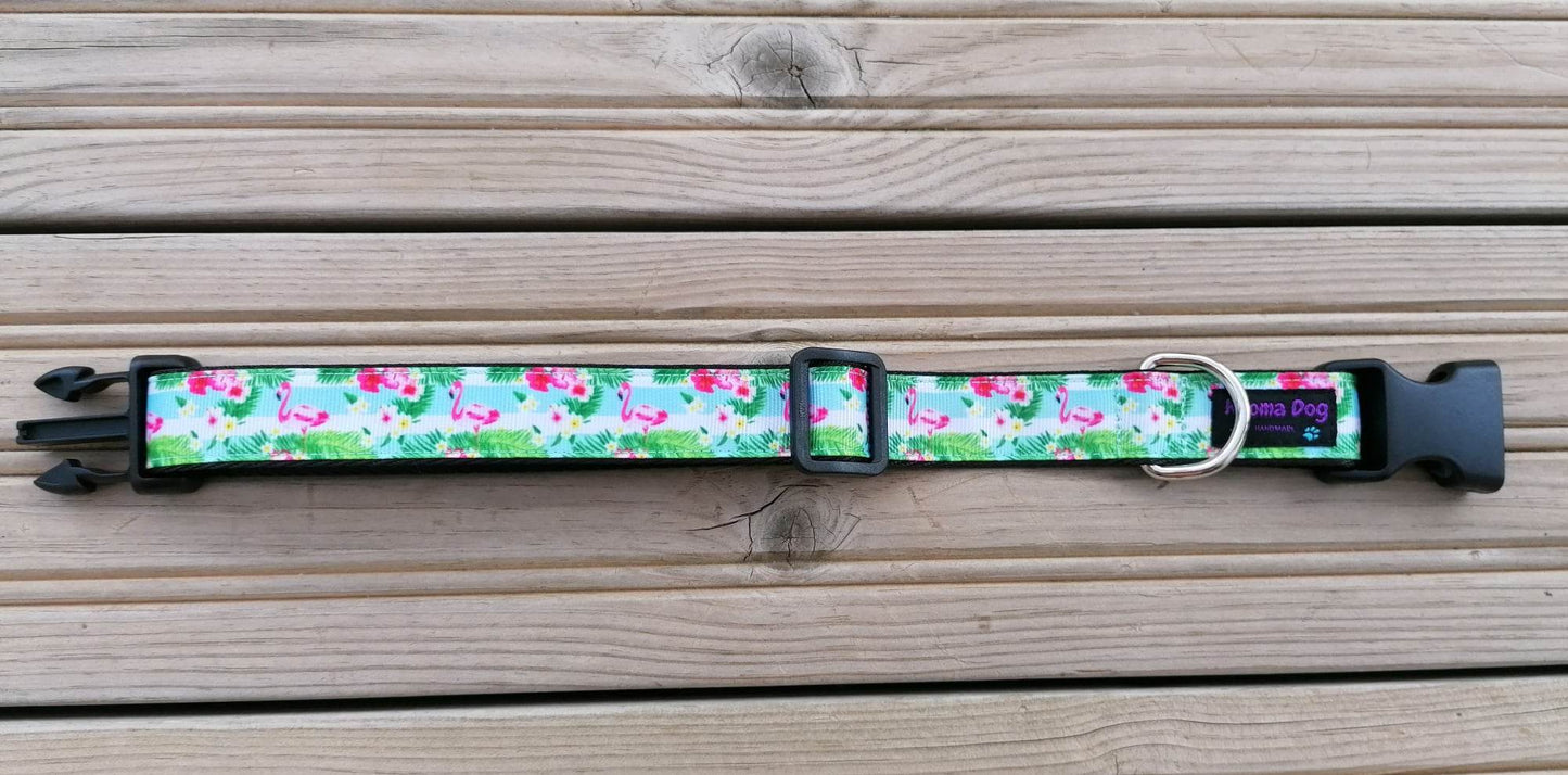 Hundehalsband 2.5cm "Jolin"