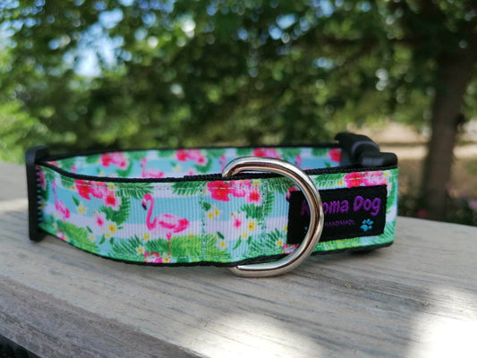 Hundehalsband 2.5cm "Jolin"
