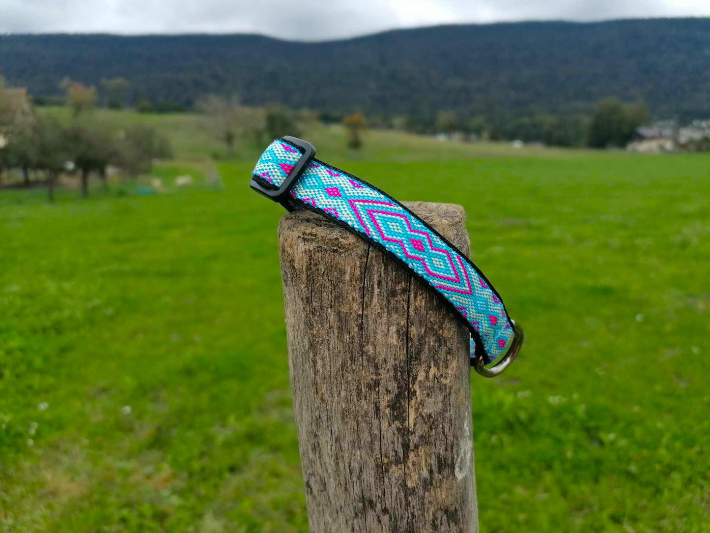 Hundehalsband 1,5cm "Juna"