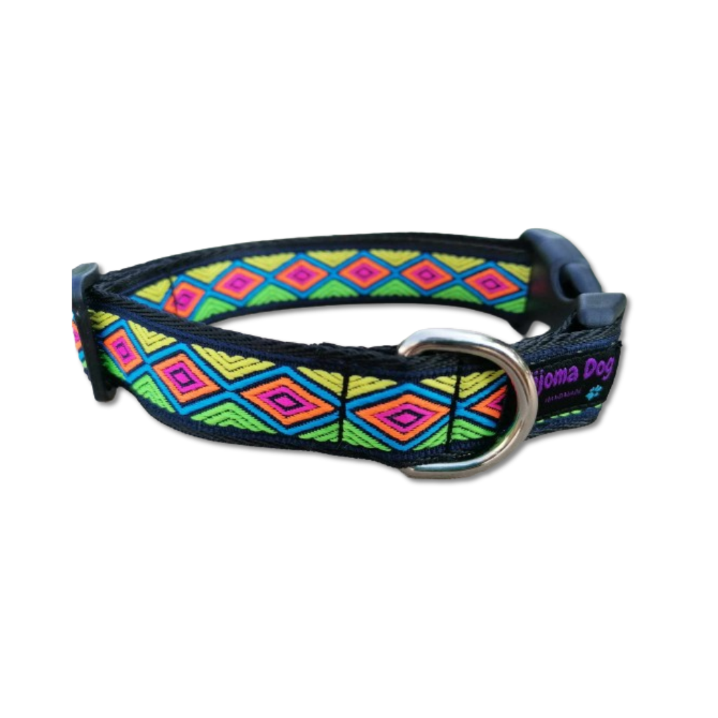 Hundehalsband 2.5cm "Kimali"