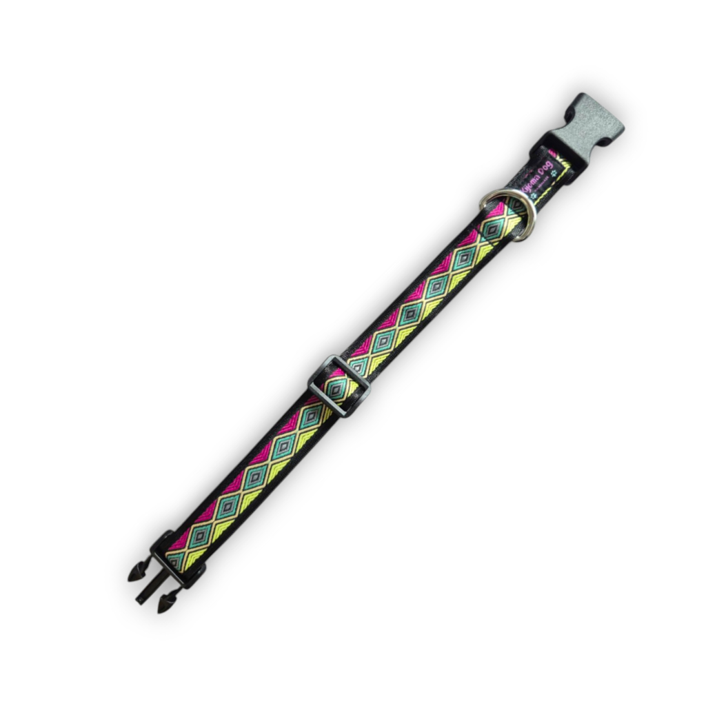 Hundehalsband 2.5cm "Kimbra"