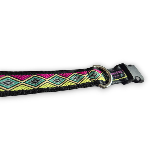 Hundehalsband 2.5cm "Kimbra"