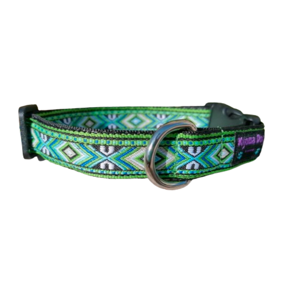 Hundehalsband 2cm "Kiwi"