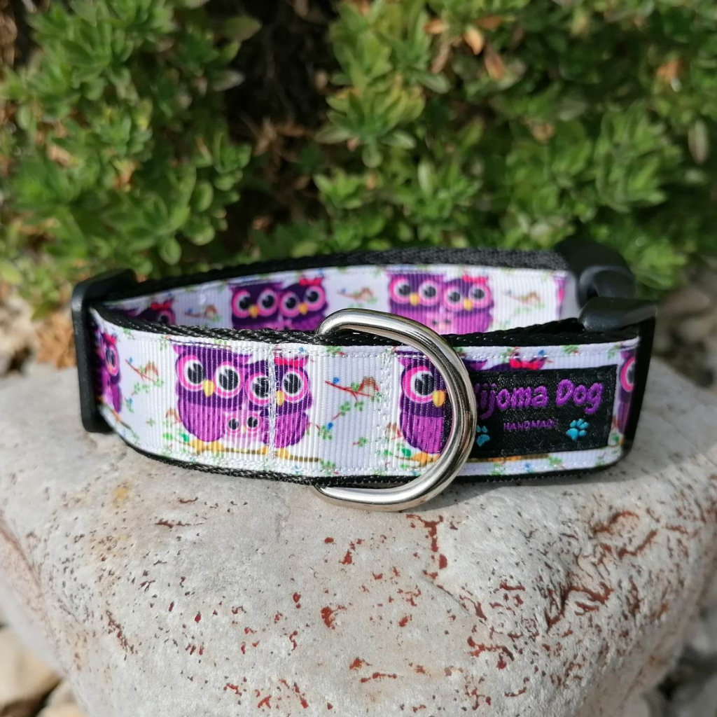 Hundehalsband 2.5cm "Lola"