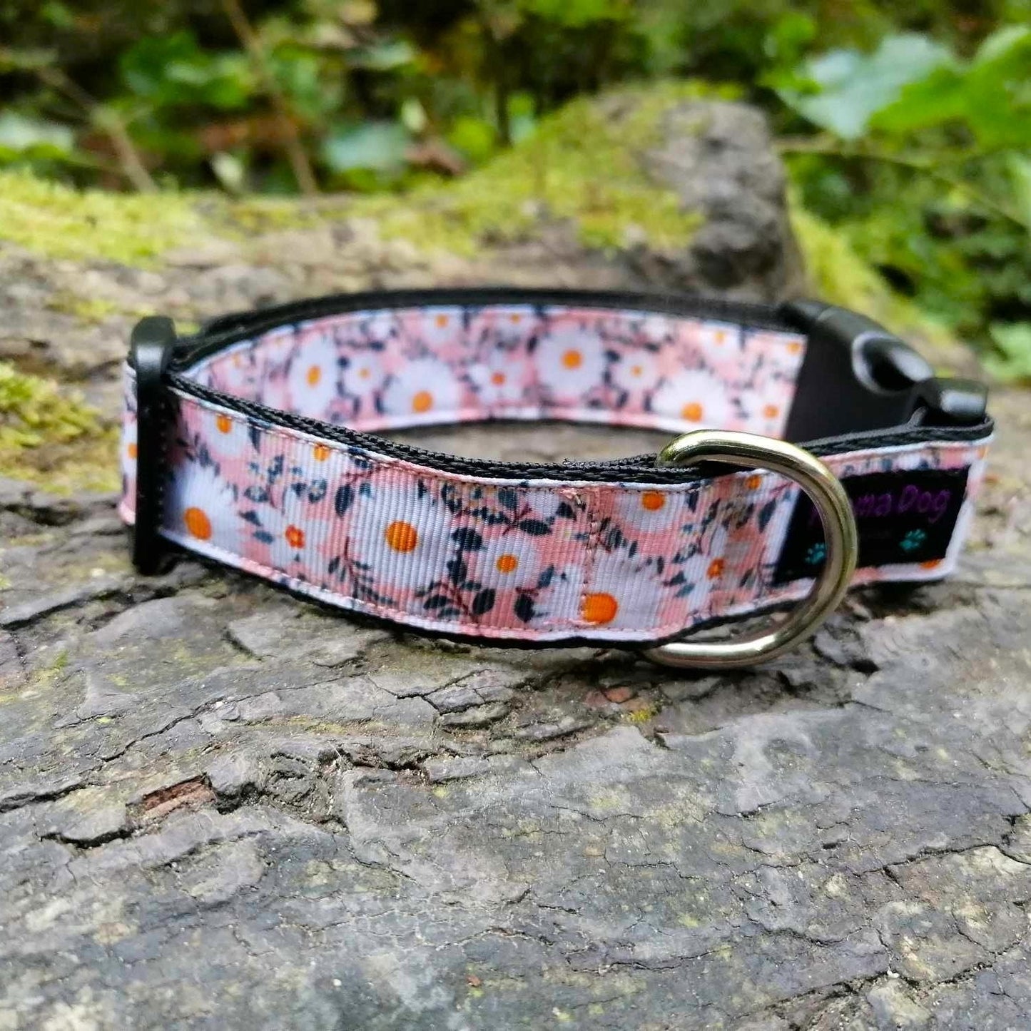 Hundehalsband 2.5cm "Maja"