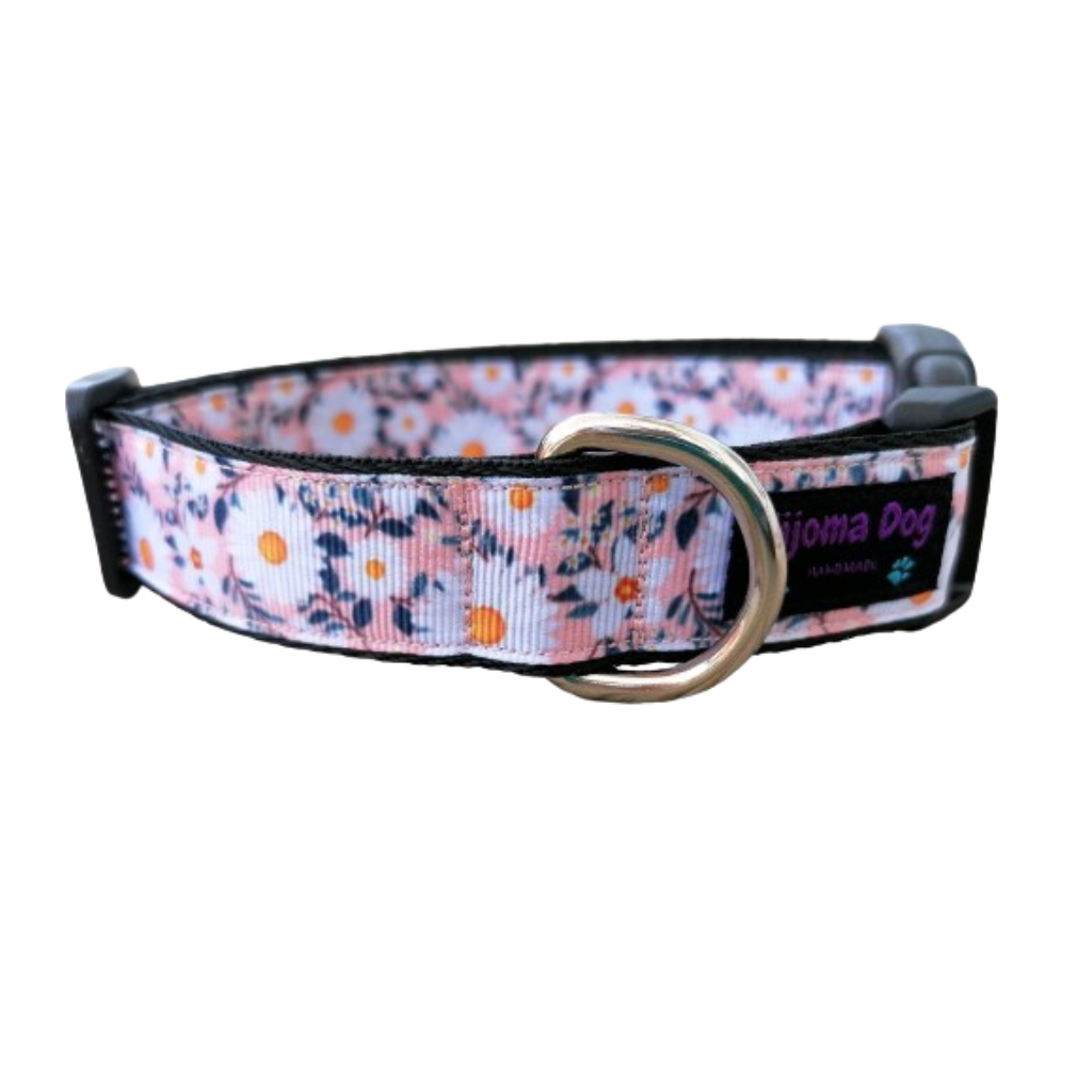 Hundehalsband 2.5cm "Maja"