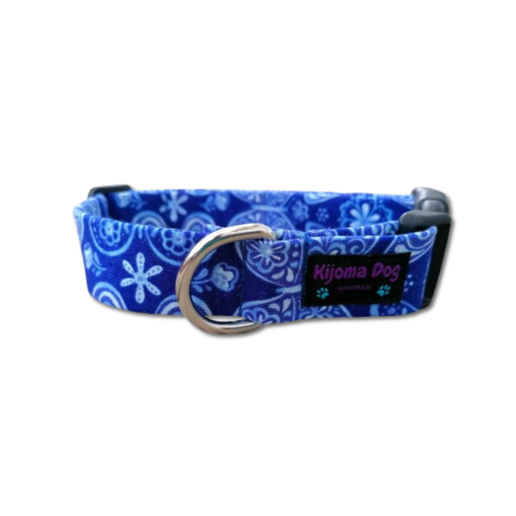 Hundehalsband 2.5cm "Max"
