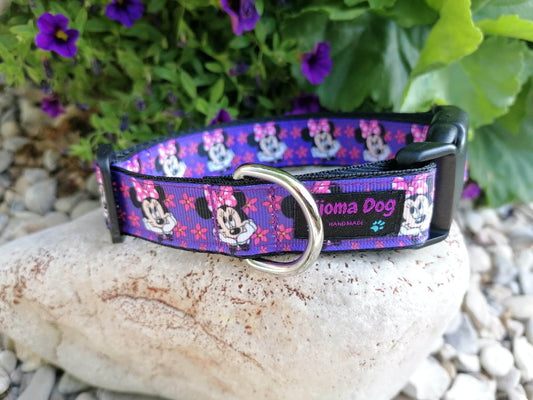 Hundehalsband 2.5cm "Nina"