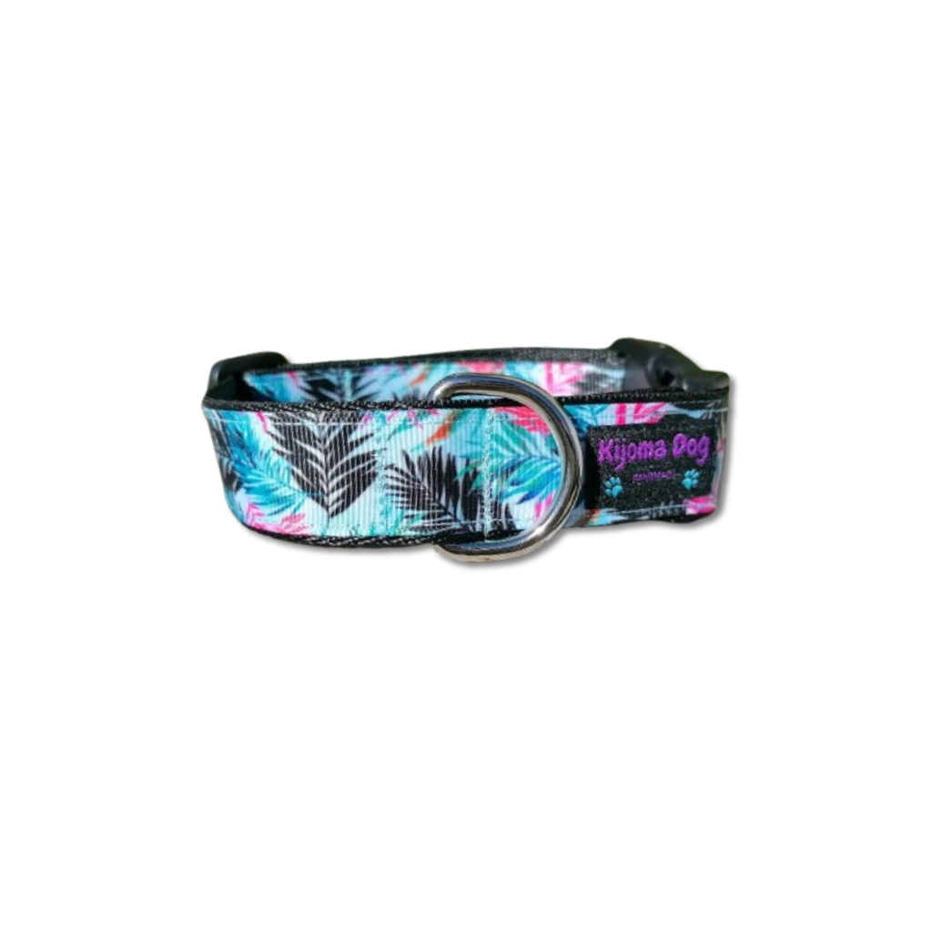 Hundehalsband 2.5cm "Mogli"