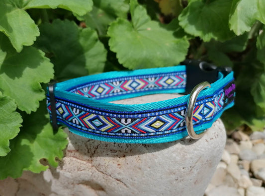 Hundehalsband 2.5cm "Nando blue"