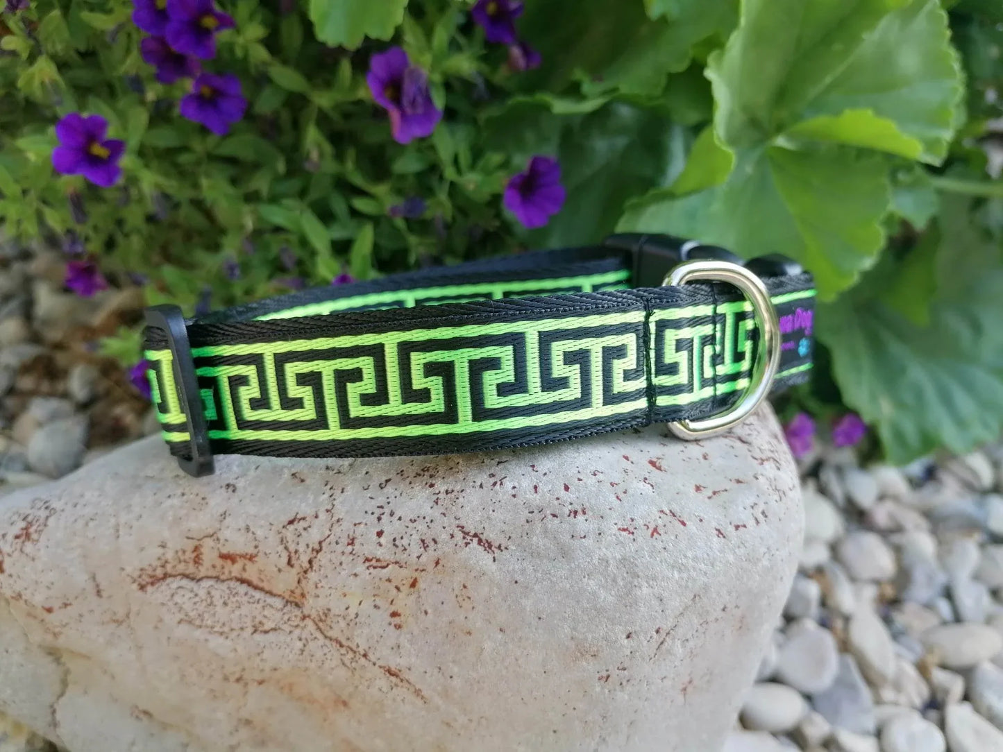 Hundehalsband 2.5cm "Paco"
