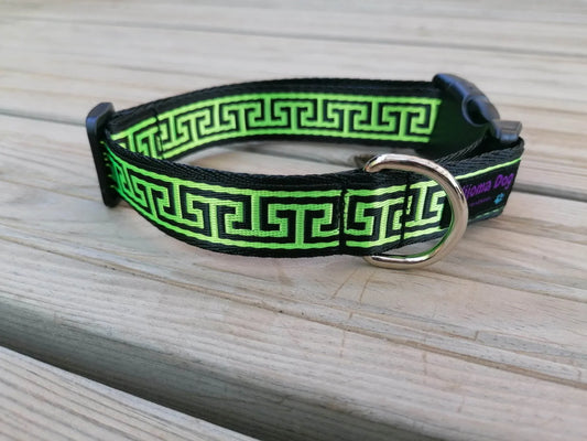 Hundehalsband 2.5cm "Paco"