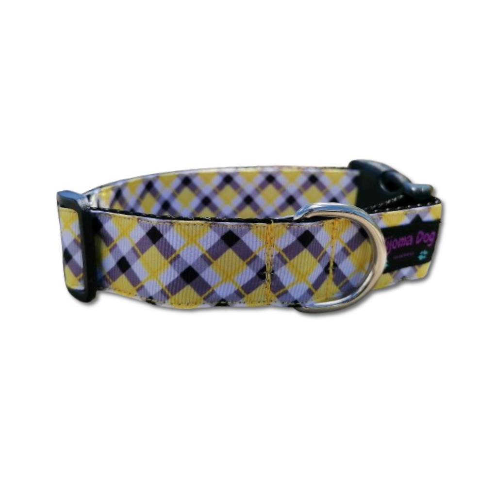 Hundehalsband 2.5cm "Sunny"