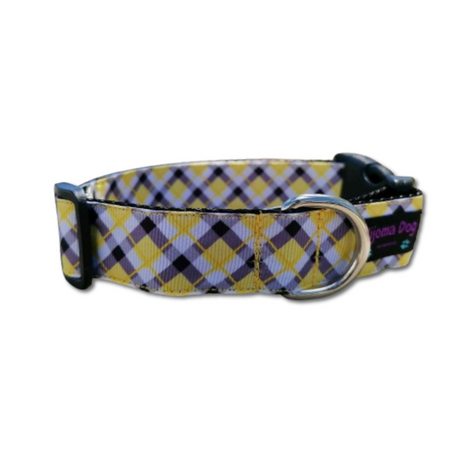 Hundehalsband 2.5cm "Sunny"